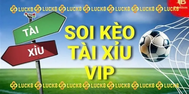 Chú ý đến thông tin các đội