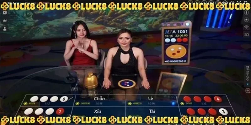 Hai phiên bản xóc đĩa đầy thú vị