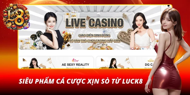 LUCK8 với lựa chọn cá cược khiến cộng đồng ngỡ ngàng