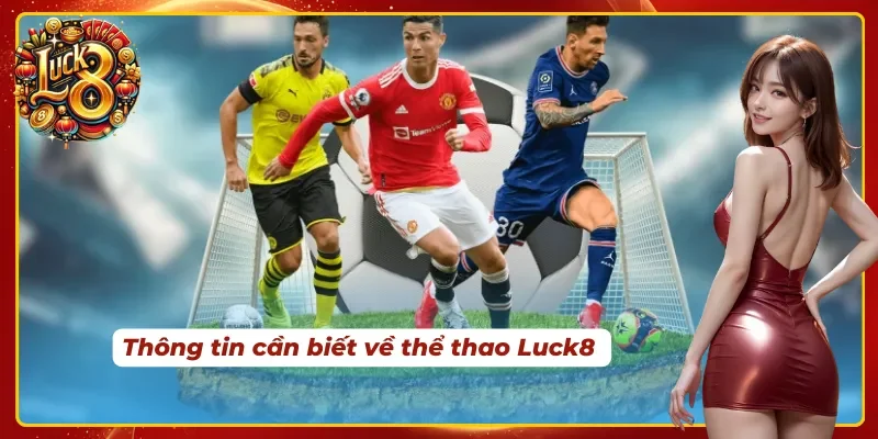 Vài nét về cá độ thể thao online 